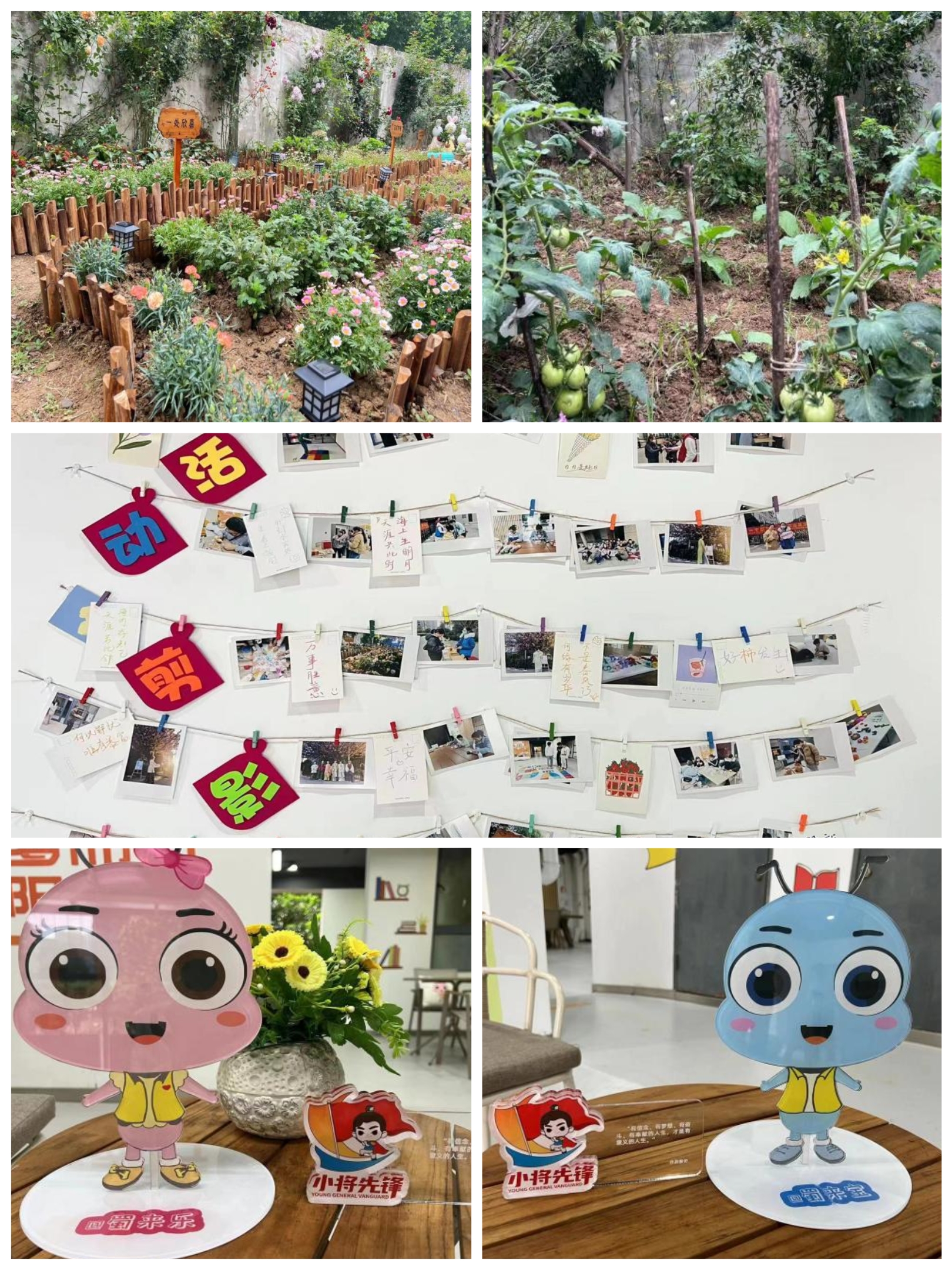 J9集团-国际站最新官网