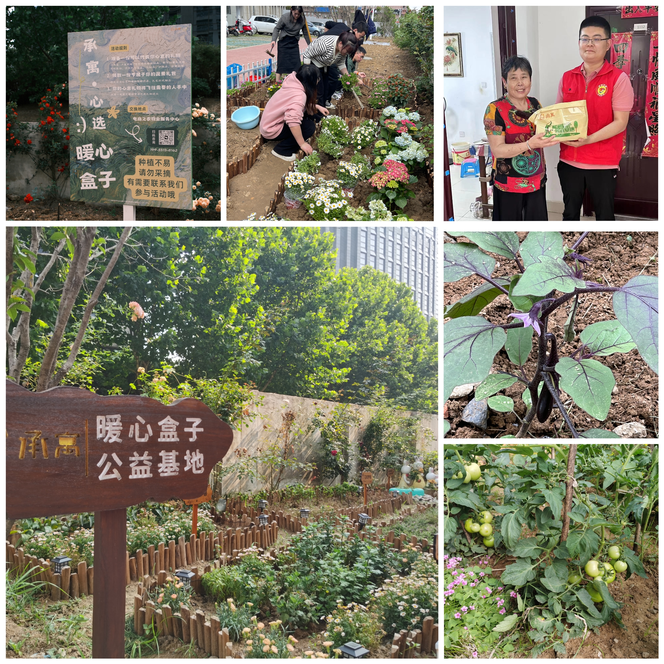 J9集团-国际站最新官网