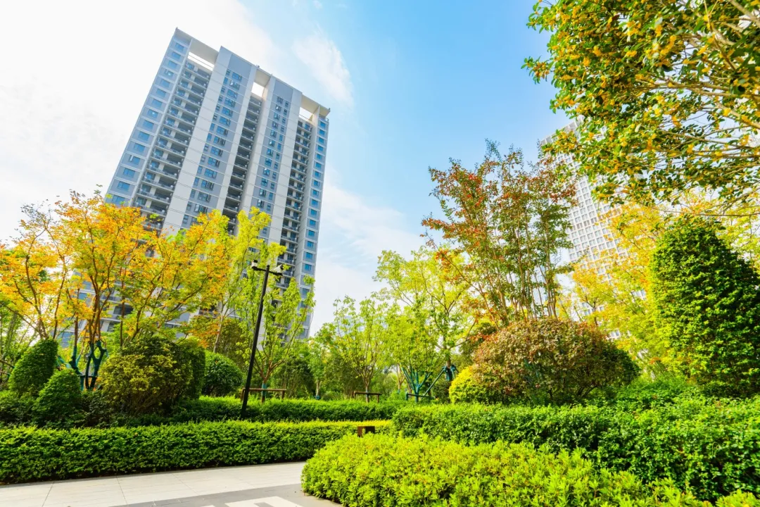 J9集团-国际站最新官网